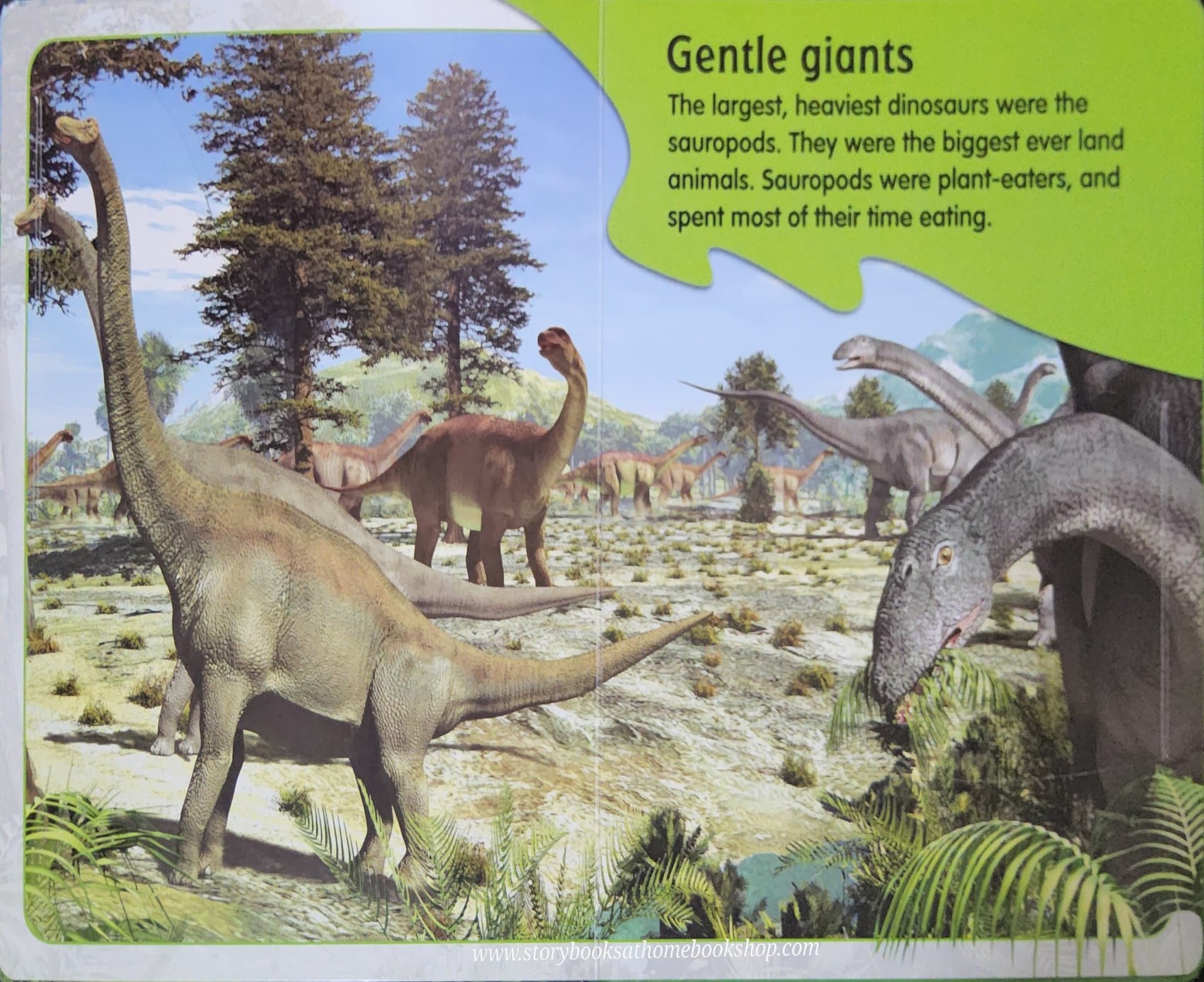 KNOWLEDGE FLAPS BOOK** 🍅🍓LIFE AND EXPLORE DINOSAURS:WHAT'S UNDER THE FLAPS?