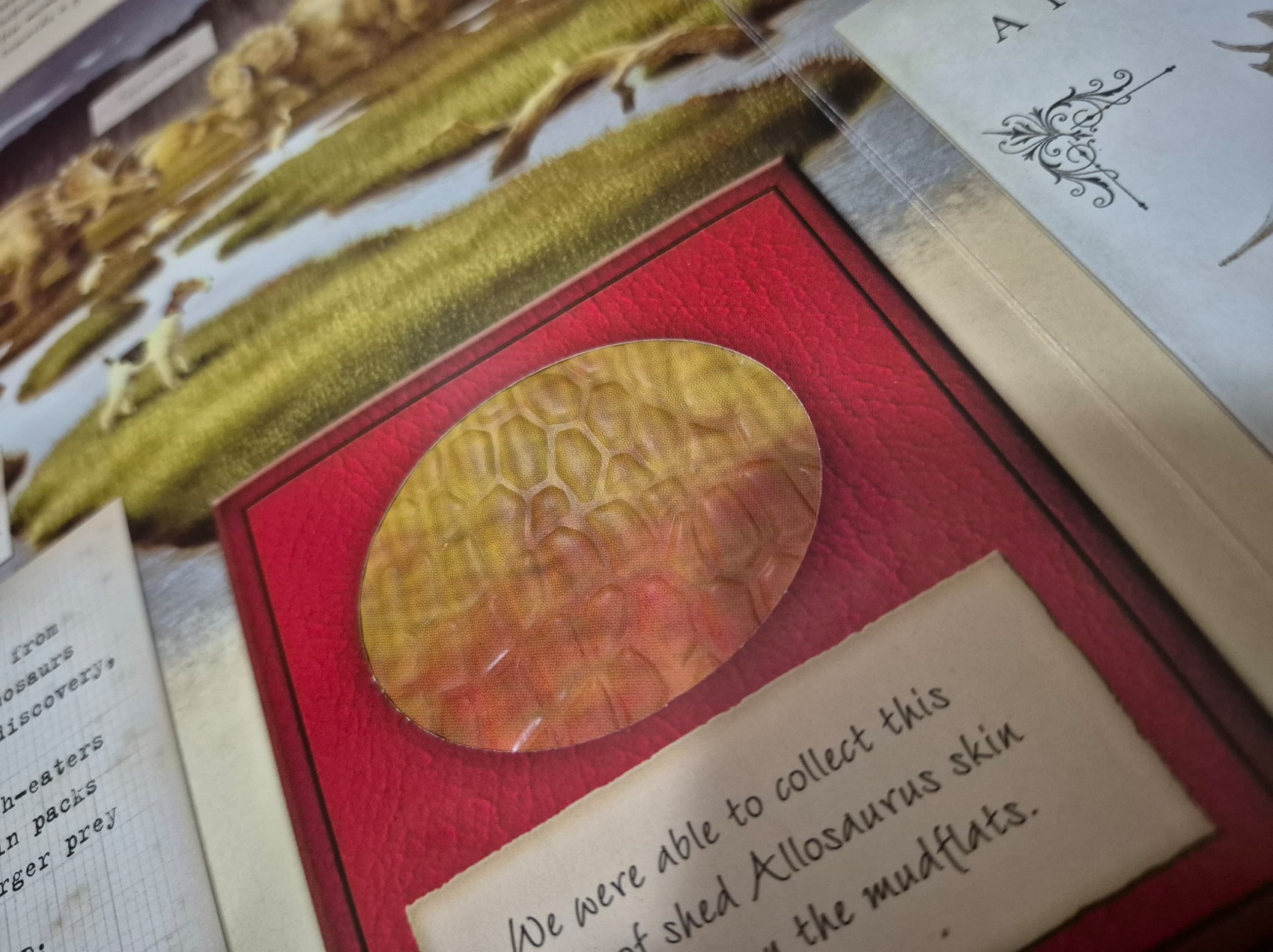 KNOWLEDGE BOOK ** ð
ðDINOSAUROLOGY THE SEARCH FOR A LOST WORLD