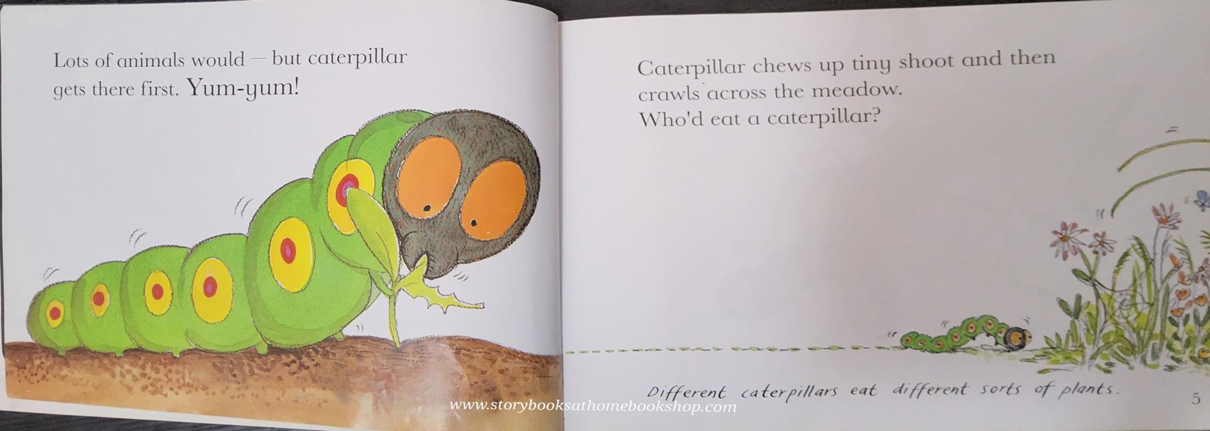 หนังสือนิทานปกอ่อน** 🍅🍅WONDERWISE YUM YUM! A BOOK ABOUT FOOD CHAINS