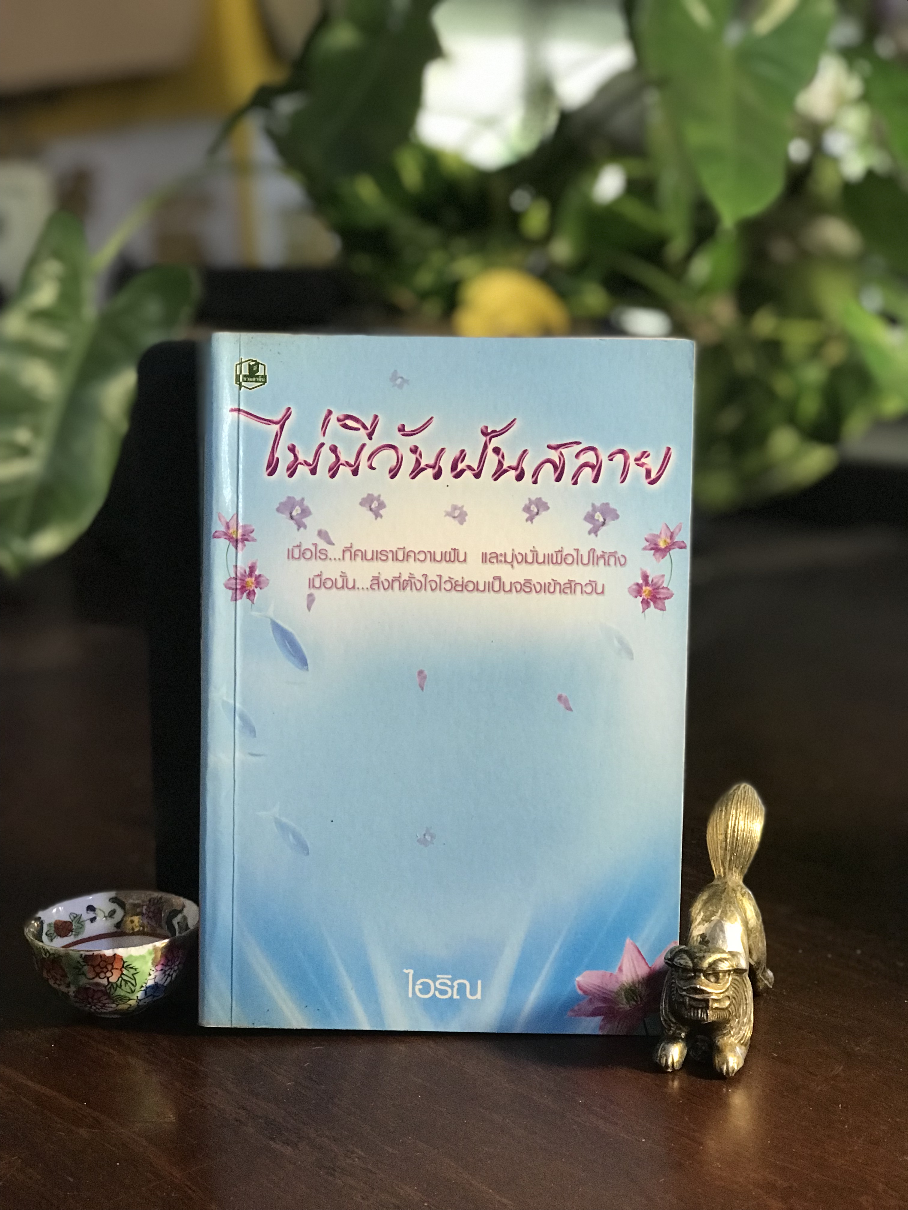 ไม่มีวันฝันสลาย ผู้เขียน: ไอริณ สำนักพิมพ์: รวมสาส์น ➡️H16