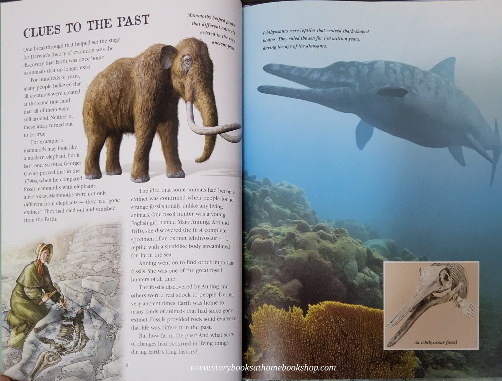 KNOWLEDGE BOOK** ð
ð
EVOLUTION