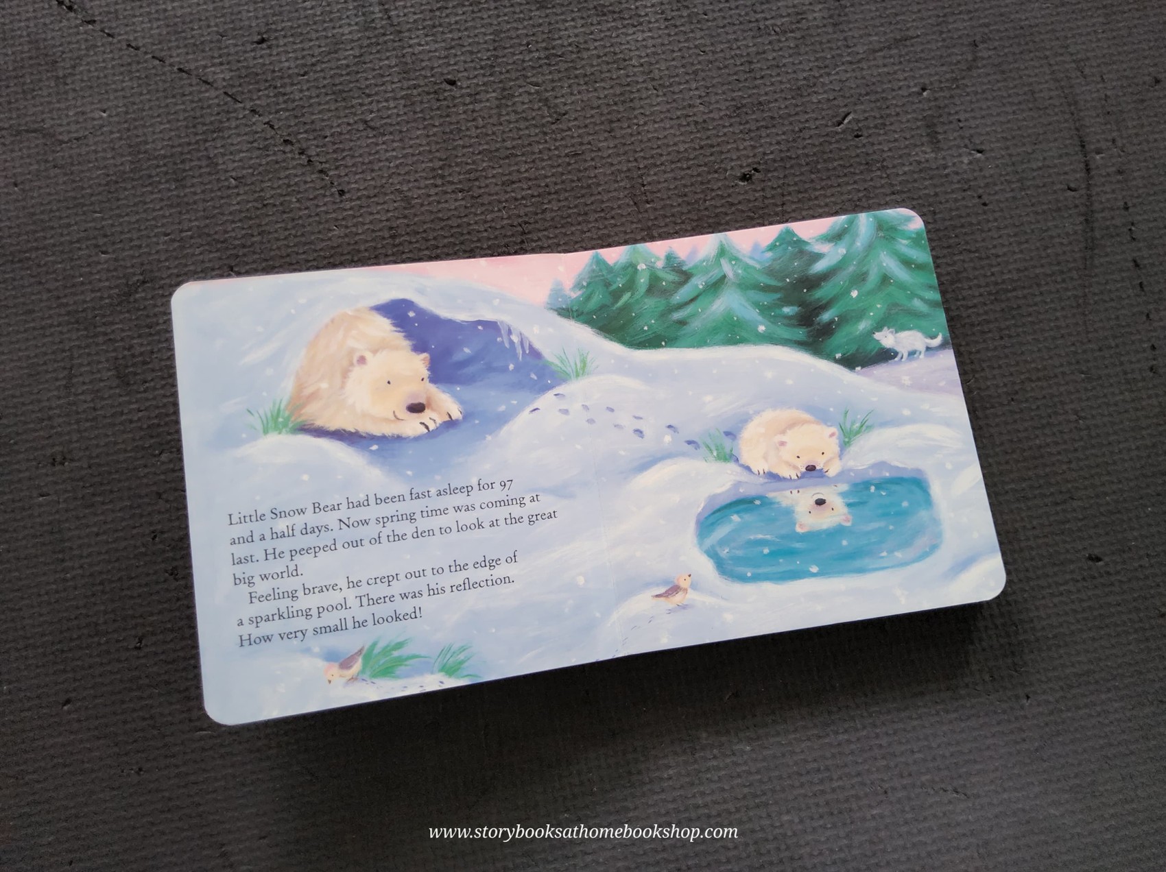 BOARD BOOK** 🍅🍓THE BIGGEST THING IN THE WORLD