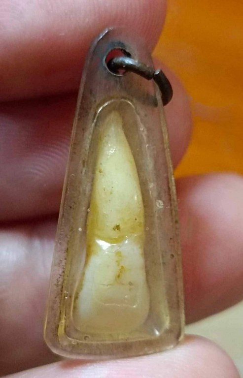 พระทันตธาตุ ครูบาขาวคำปัน วัดผาหนาม ท่านมรณภาพวัดพระธาตุหัวขัว ได้จากพ่อหนานชัยเดช ท่านเป็นคนทุ่งหัวช้าง จ.ลำพูน พ่อหนานชัยเดช ท่านได้รับพระทันตธาตุนี้มา ปี 2538 หลังจากครูบาขาวคำปันมรณภาพ พ่อหนานชัยเดชก็กลับมาอยู่บ้าน อ.ทุ่งหัวช้างจนเสียชีวิตเมื่อ