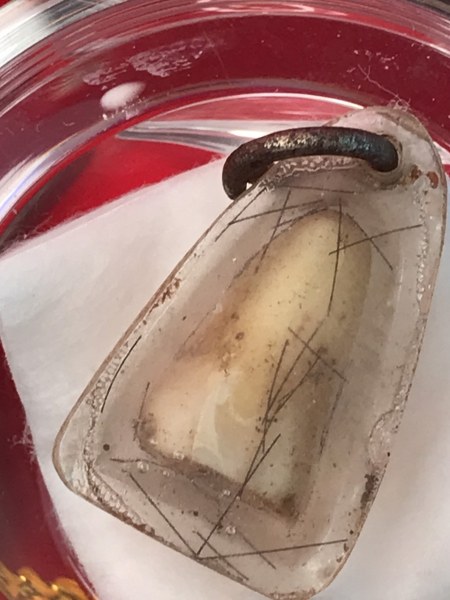 พระทันตธาตุครูบาอภิชัยขาวปี วัดผาหนาม จ.ลำพูน และพระเกศาธาตุ