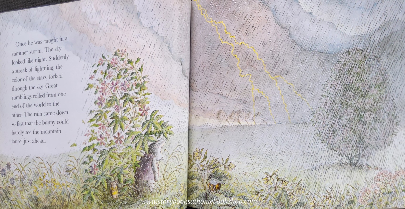 หนังสือนิทานปกอ่อน** 🍅🍓THE BUNNY WHO FOUND EASTER