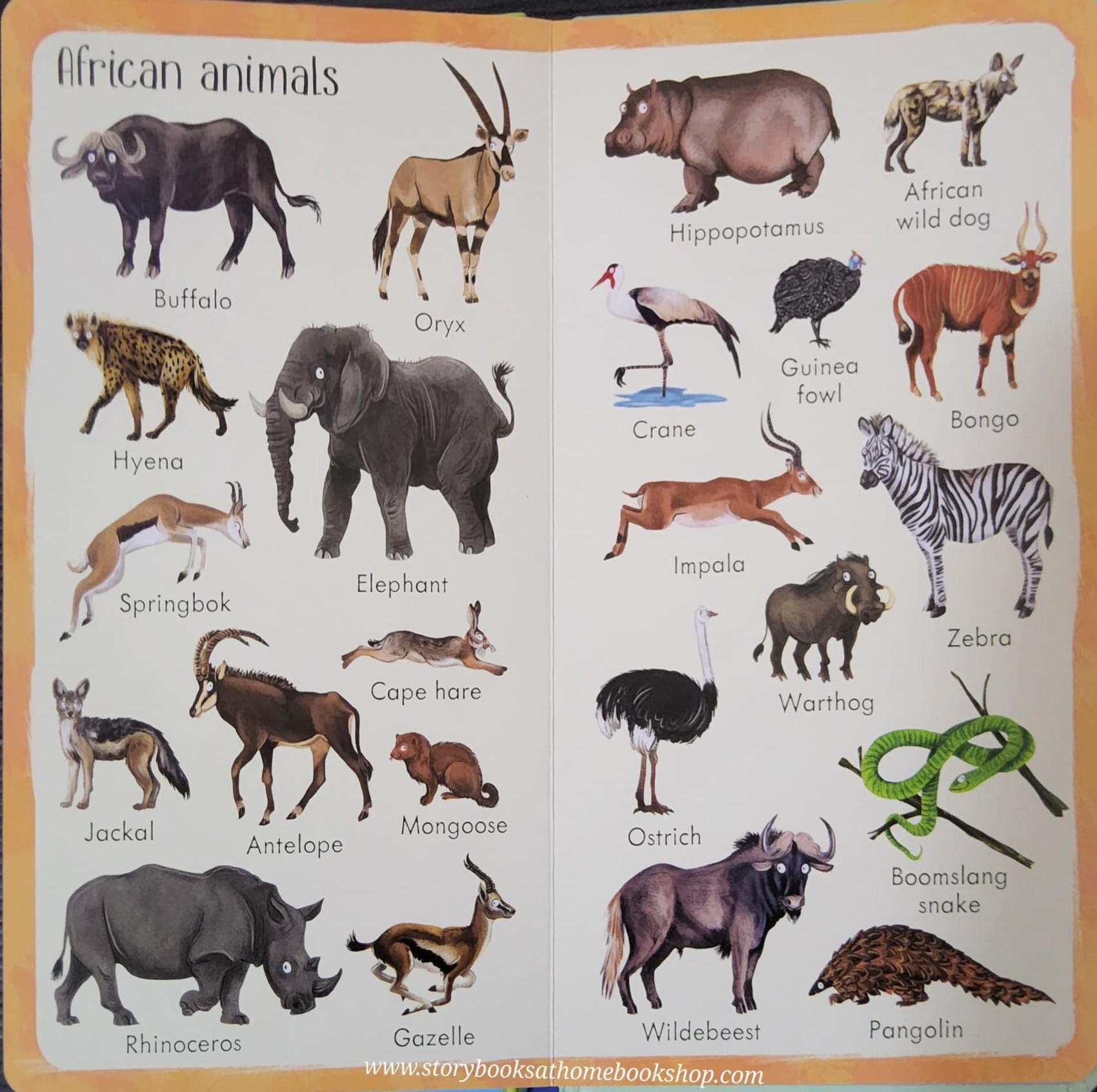 BOARD BOOK** ð
ð
USBORNE 199 ZOO ANIMALS