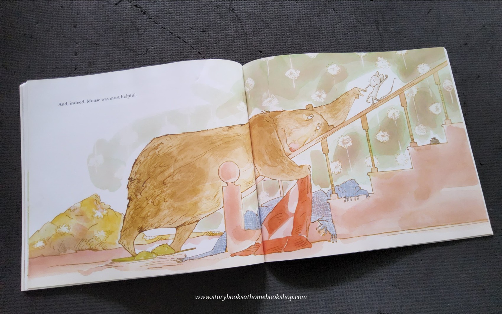 หนังสือนิทานปกอ่อน** 🍓🍓THE SNIFFLES FOR BEAR BY BONNY BECKER🍅🍅