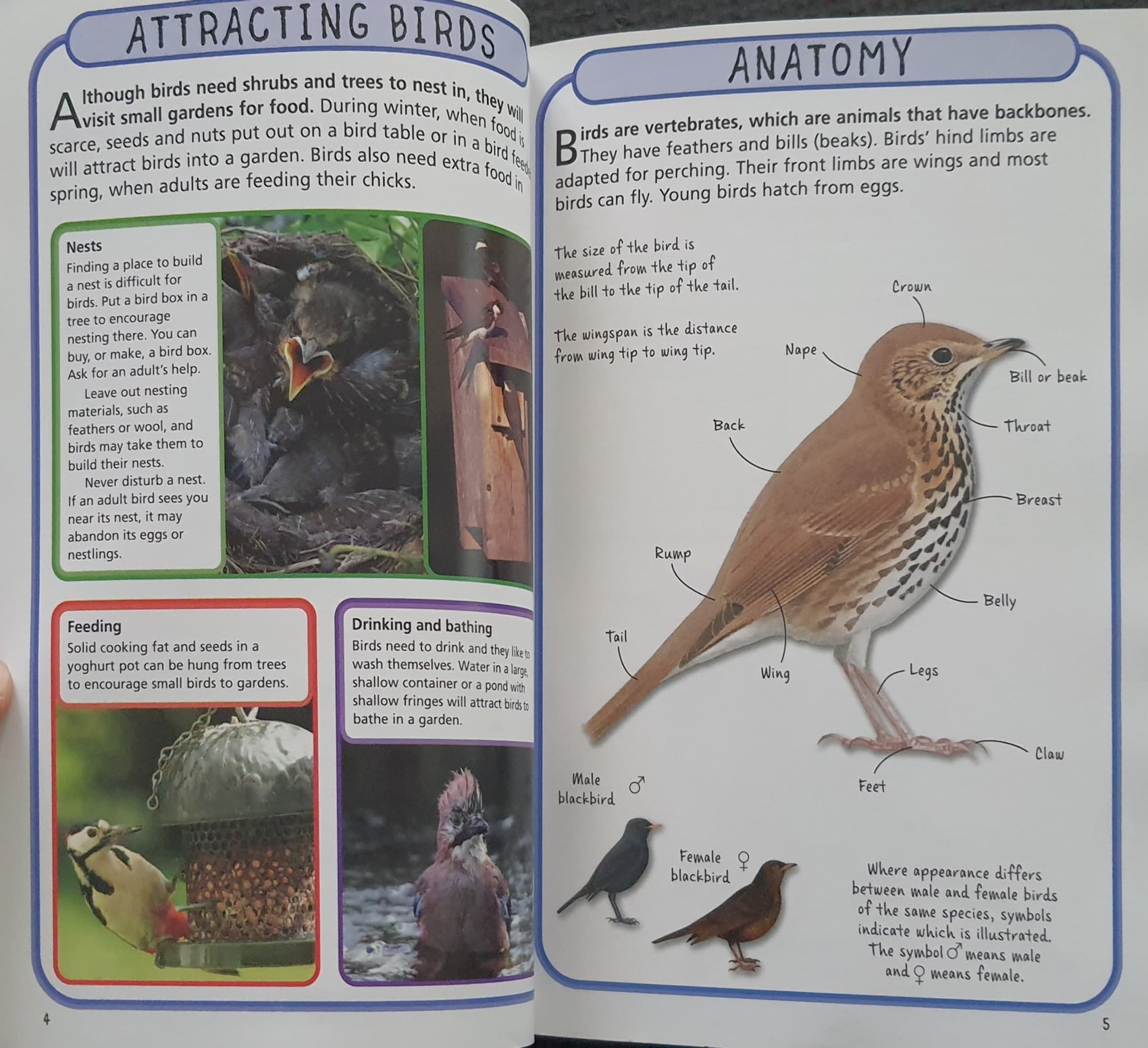 KNOWLEDGE BOOK** 🍅🍓 SPOT 50 GARDEN BIRDS HOW TO IDENTIFY 50 SPECIES
