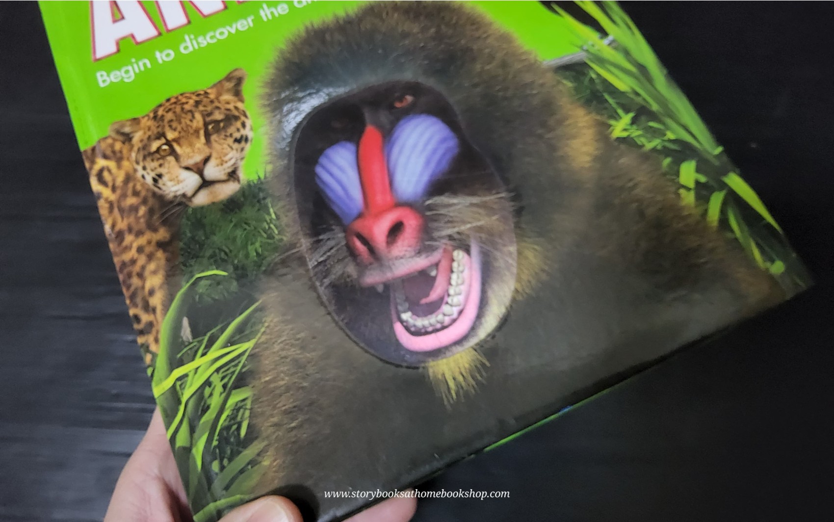 KNOWLEDGE BOOK** ð
ðTHE CHILDREN'S ENCYCLOPEDIA OF ANIMALS