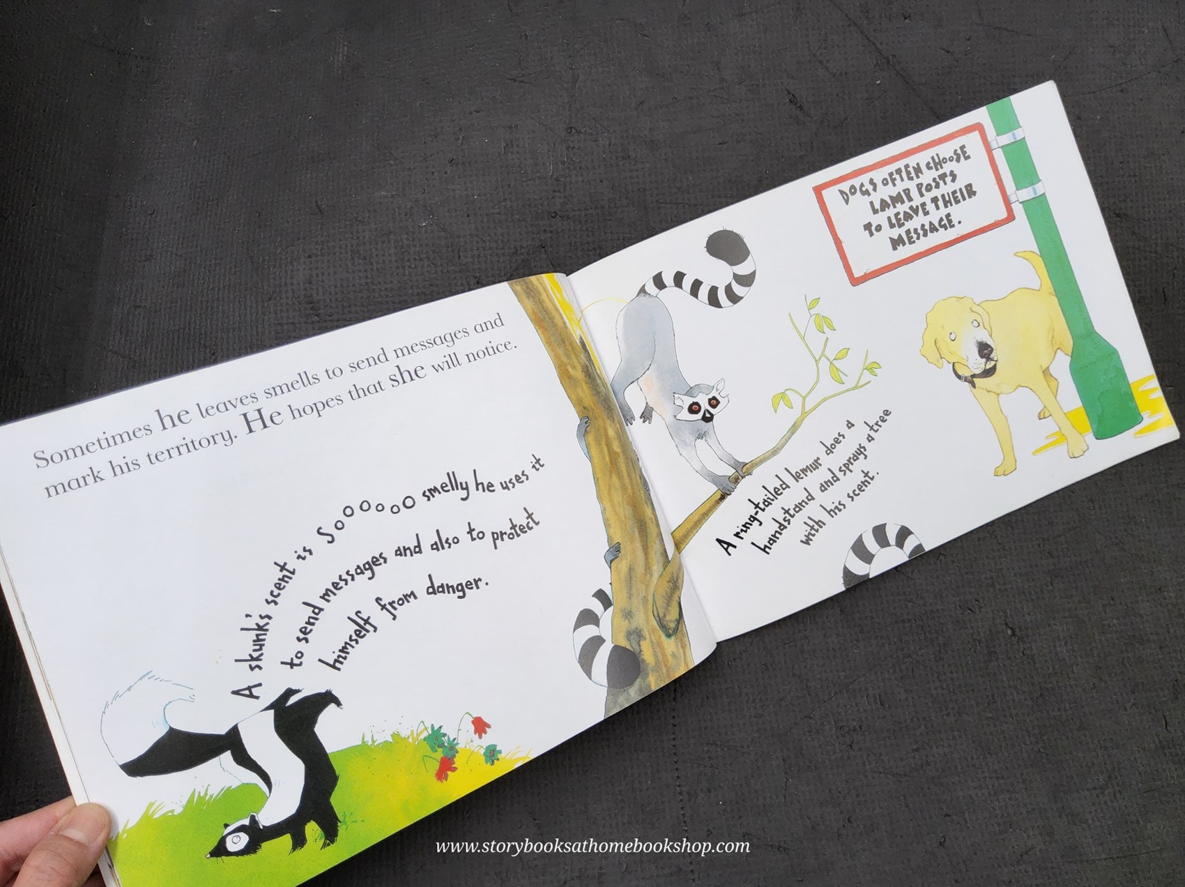 หนังสือนิทานปกอ่อน** 🍅🍅WONDERWISE: IT TAKES TWO