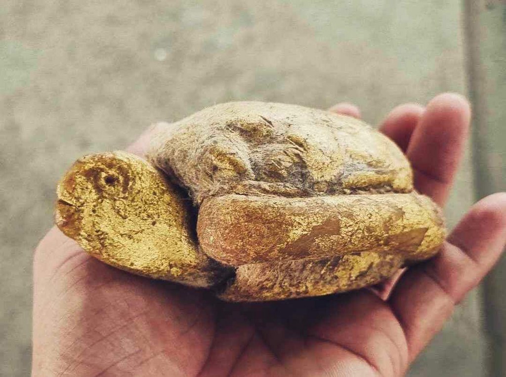 เต่าสำลีี ชุบเทียน ปิดทอง ขนาดบูชา ครูบาชัยยะวงศา วัดพระพุทธบาทห้วยต้ม เจ้าของเดิมชื่ออ้ายชัย อายุ 45 ปี อยู่ อ.บ้านโฮ่ง จ.ลำพูน เคยบวชเป็นพระวัดพระพุทธบาท ห้วยต้มเมื่อปี 2545-2550 อ้ายชัยเล่าว่าท่านได้เช่าต่อจากกะเหรี่ยงลูกศิษย์ครูบาวงศ์