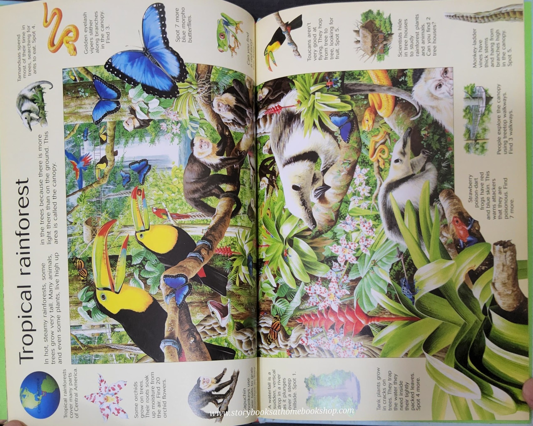 PUZZLE BOOK** ð
ðUSBORNE THE GREAT PLANET EARTH SERCH