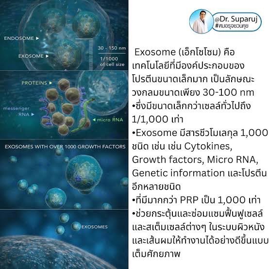 Asce Exosome 1 ขวด เอ็กโซโซม ช่วยดูแลผมร่วงผมบาง Exosome Therapy for Hair Loss