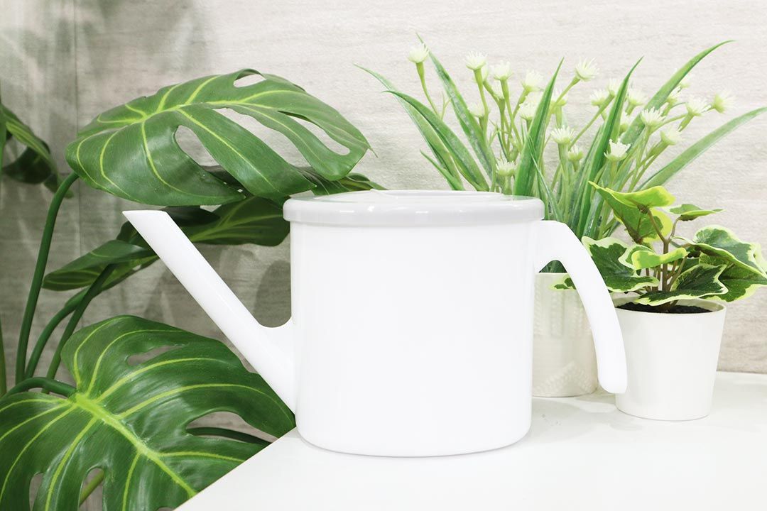 Watering Can บัวรดน้ำต้นไม้ พลาสติก JP Quality 800ml 20x25x12 cm