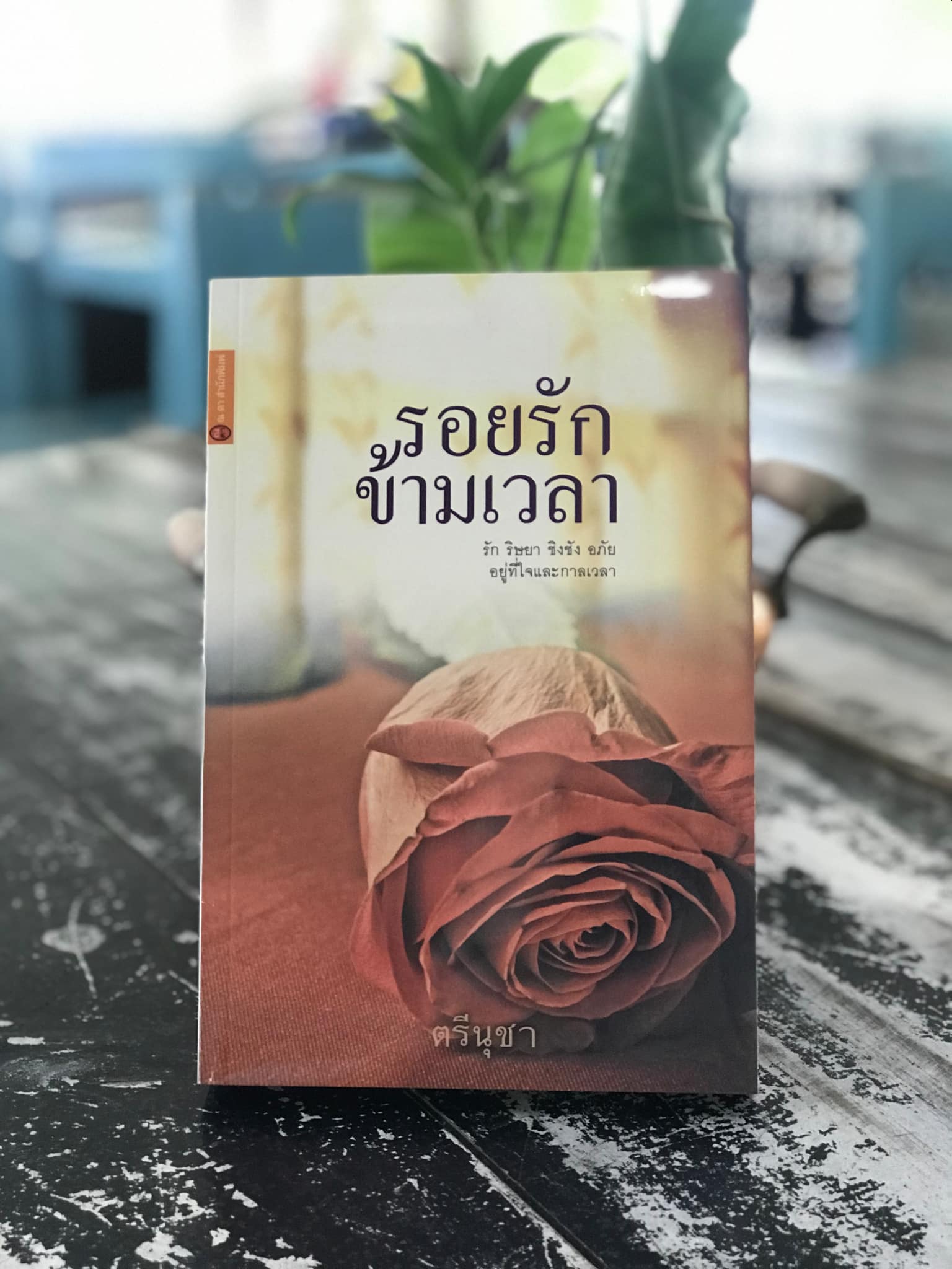 รอยรักข้ามเวลา ผู้เขียน ตรีนุชา ณ ดา สำนักพิมพ์ -H7-