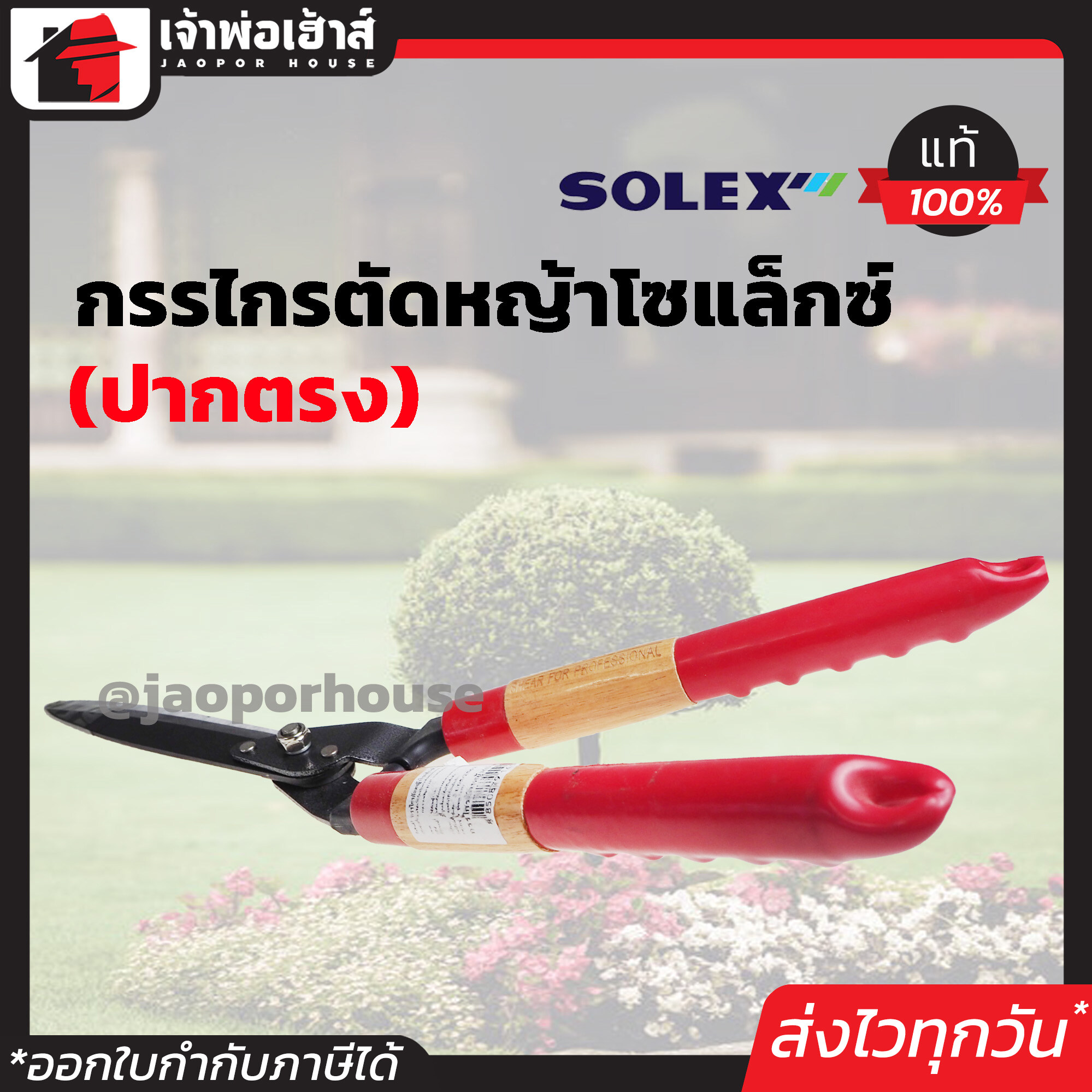 กรรไกรตัดหญ้า Solex ด้ามไม้ อย่างดี ขนาด 12 นิ้ว ใบมีดคมตัดง่าย น้ำหนักเบา ไม่ปวดเมื่อย กรรไกรตัดแต่งกิ่ง กรรไกรตัดกิ่งไม้ ตัดพุ่มไม้ D21-02