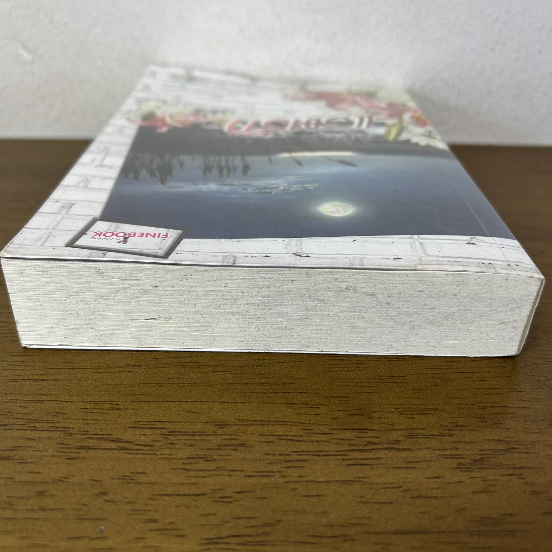 แรมรัก ... เรซิน (มือสอง) นิยาย FINEBOOK