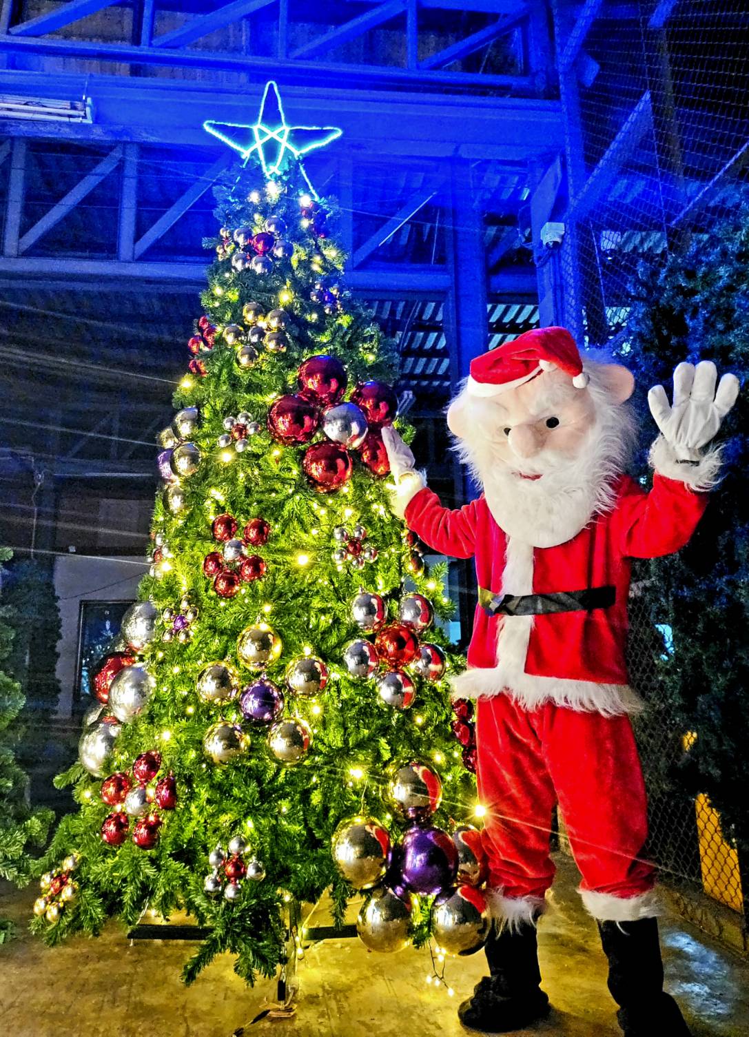 ต้นคริสต์มาสปลอมตกแต่ง ขนาด 12ฟุต พร้อมของประดับ