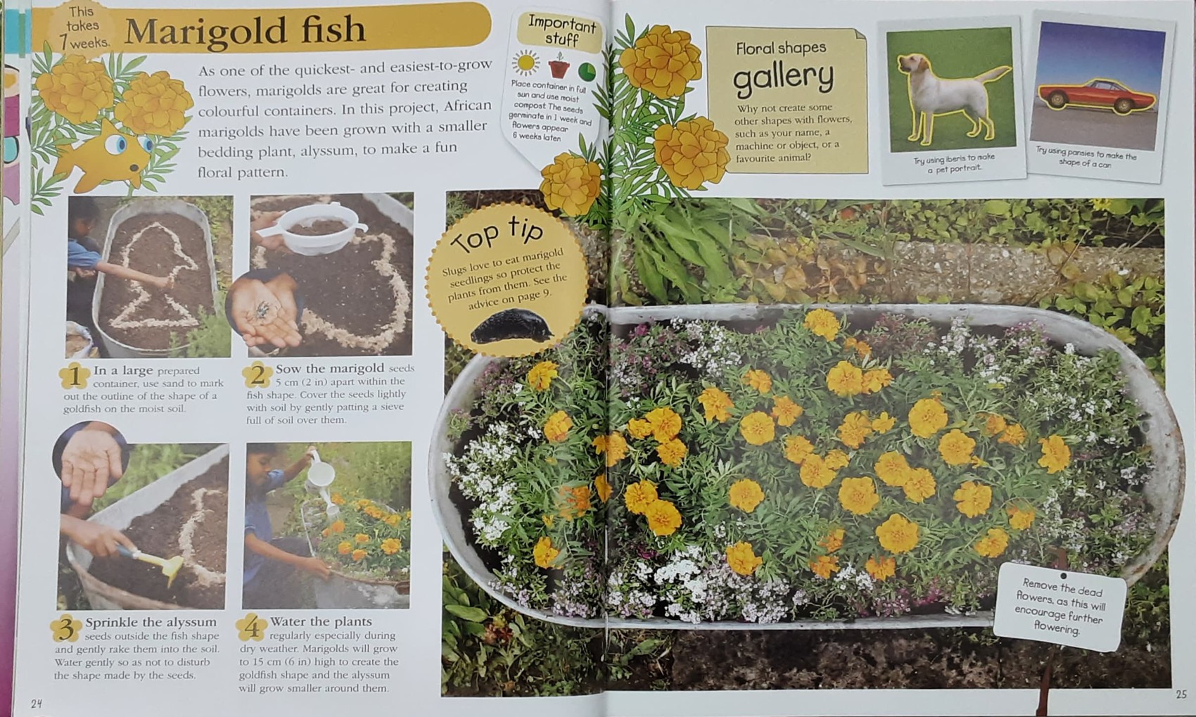 KNOWLEDGE BOOK ** 🍅🍓READY,STEADY,GROW