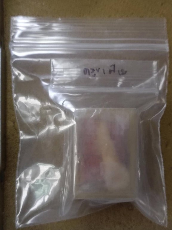 พระทันตธาตุ ครูบาฝ้าย วัดพระธาตุดอยตุง อ.แม่สาย จ.เชียงราย ได้มาจากดาบจรูญ อาศัยอยู่ที่ อ.แม่สาย จ.เชียงราย อายุ 68 ปี ปัจจุบันยังมีชีวิตอยู่ ดาบจรูญเป็นศิษย์ครูบาฝ้ายตั้งแต่ปี 2545 ดาบจรูญท่านได้พระทันตธาตุนี้มาเมื่อปี 2554