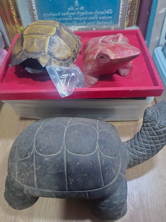 กบแดง ไม้แกะ มีรอยจาร ครูบาชัยยยะวงศา วัดพระพุทธบาทห้วยต้ม จ,ลำพูน ได้มาจากหนานป๋อง อายุ 64 ปี เคยบวชรับใช้ครูบาวงศ์ สึกเมื่อปี 2553 สึกออกมาเป็นฆาราวาส อาศัยอยู่ที่บ้านป่าไผ่ อ.ลี้ ได้รับของหลายชิ้นมาจากครูบาวงศ์ หลวงปู่เสกให้ในกุฏิ มอบให้หนานป๋อง