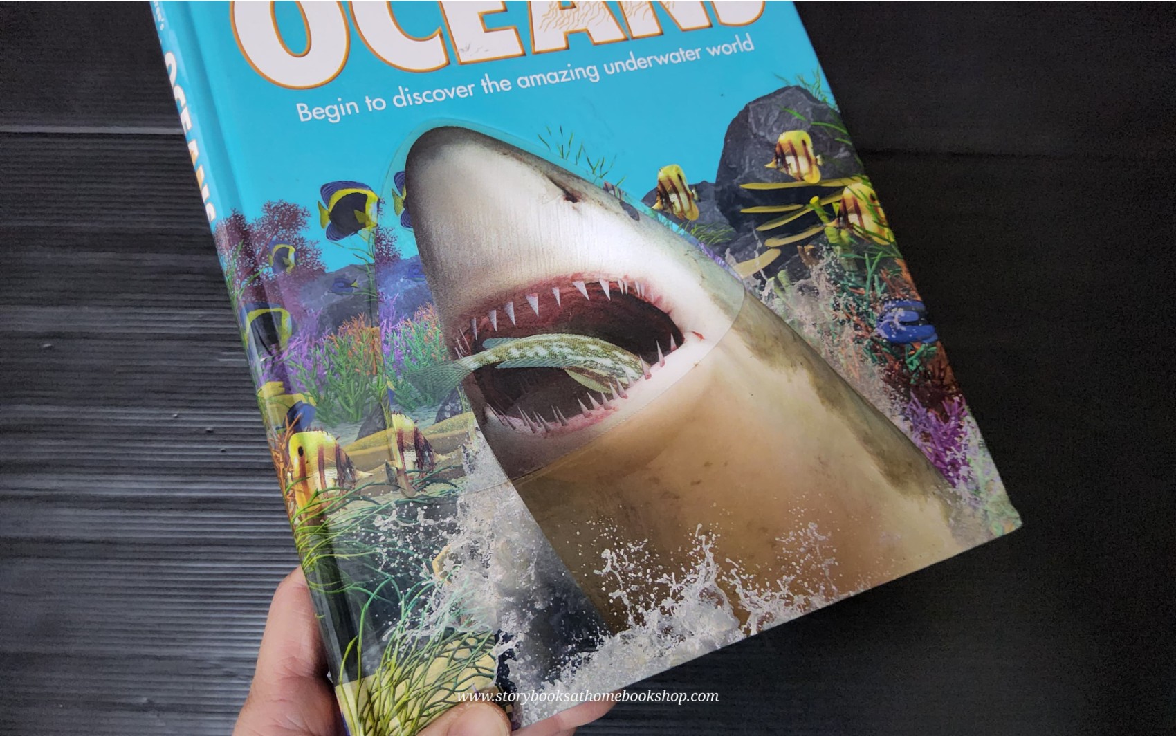 Knowledge Book** ð
ðTHE CHILDREN'S ENCYCLOPEDIA OF OCEANS with 3D COVER