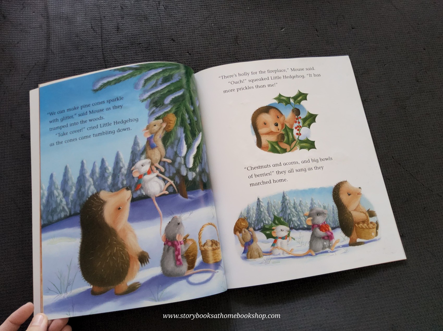 หนังสือนิทานปกอ่อน** 🍅ONE CHRISTMAS NIGHT BY M CHRISTMAS BUTLER AND TINA MACNAUGHTON