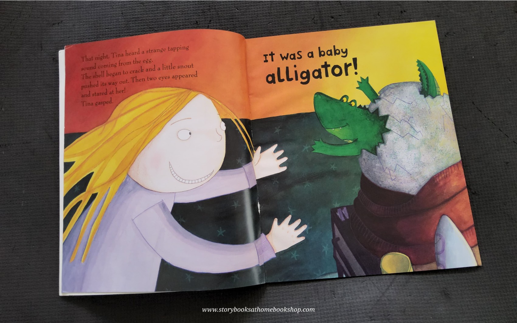หนังสือนิทานปกอ่อน** 🍅🍅WANTED HAVE YOU SEEN THIS ALLIGATOR?BY RCHARD WARING&HOLLY SWAIN
