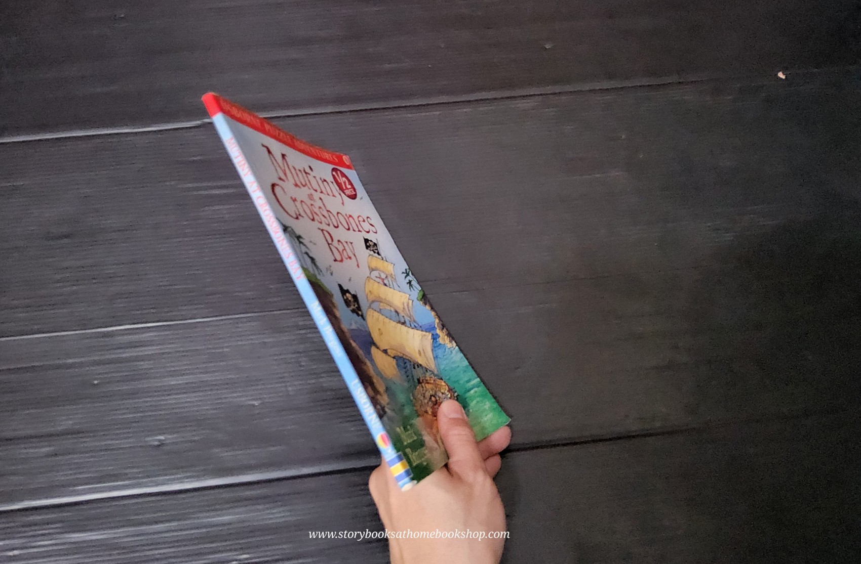 PUZZLE BOOK** ♥️USBORNE PUZZLE ADVENTURES: MUTINY AT CROSSBONES BAY BY MARK BURGESS