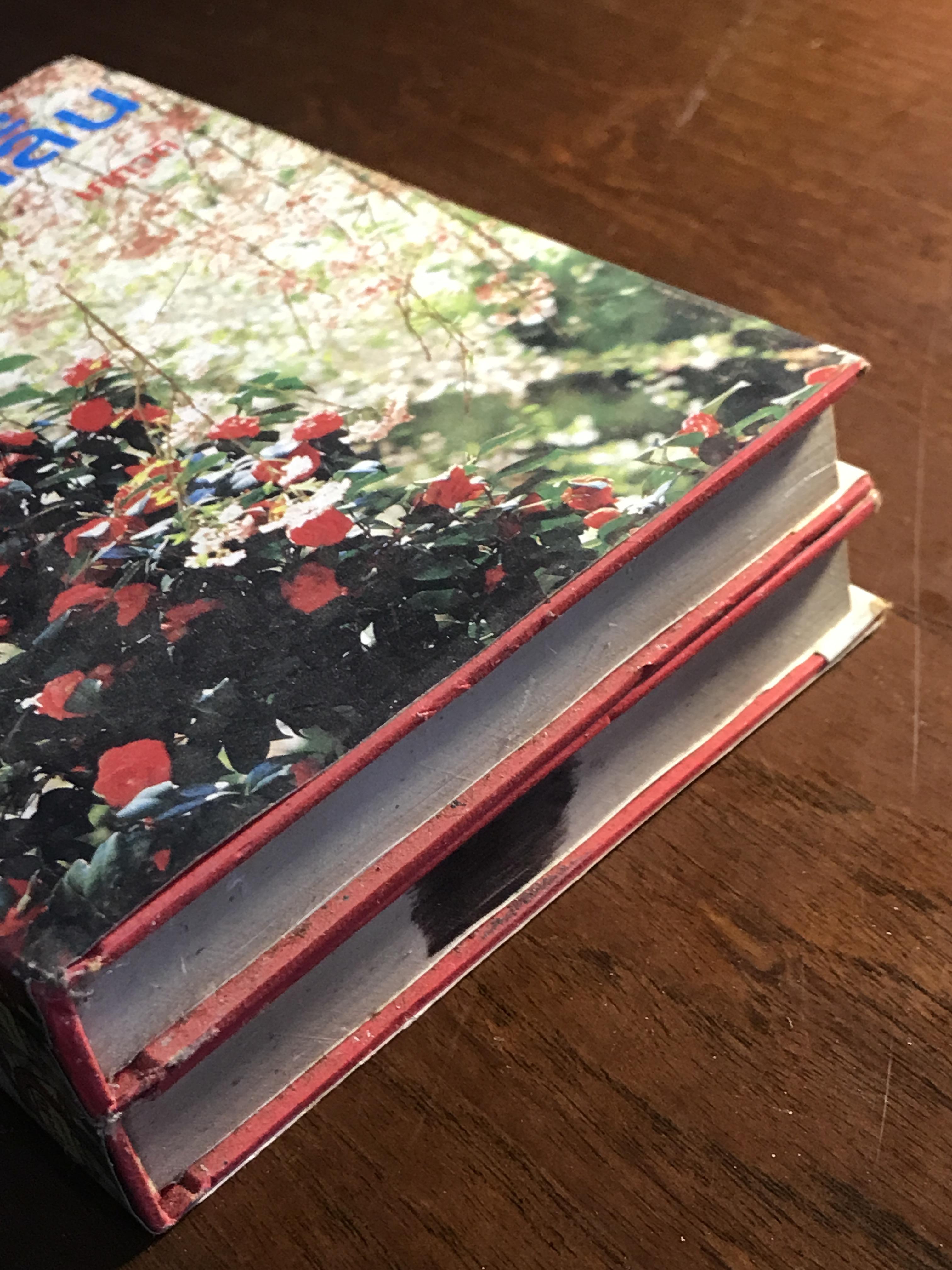 กุหลาบไร้กลิ่น ผู้เขียน: เกตุวดี สำนักพิมพ์: โชชัยเทเวศร์ ➡️H5