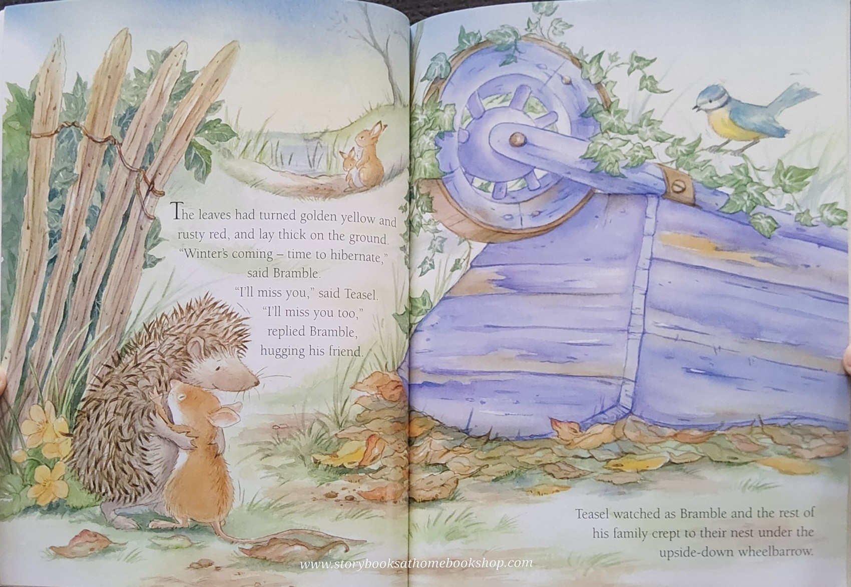 หนังสือนิทานปกอ่อน** 🍓🍓A BOOK FOR BRAMBLE