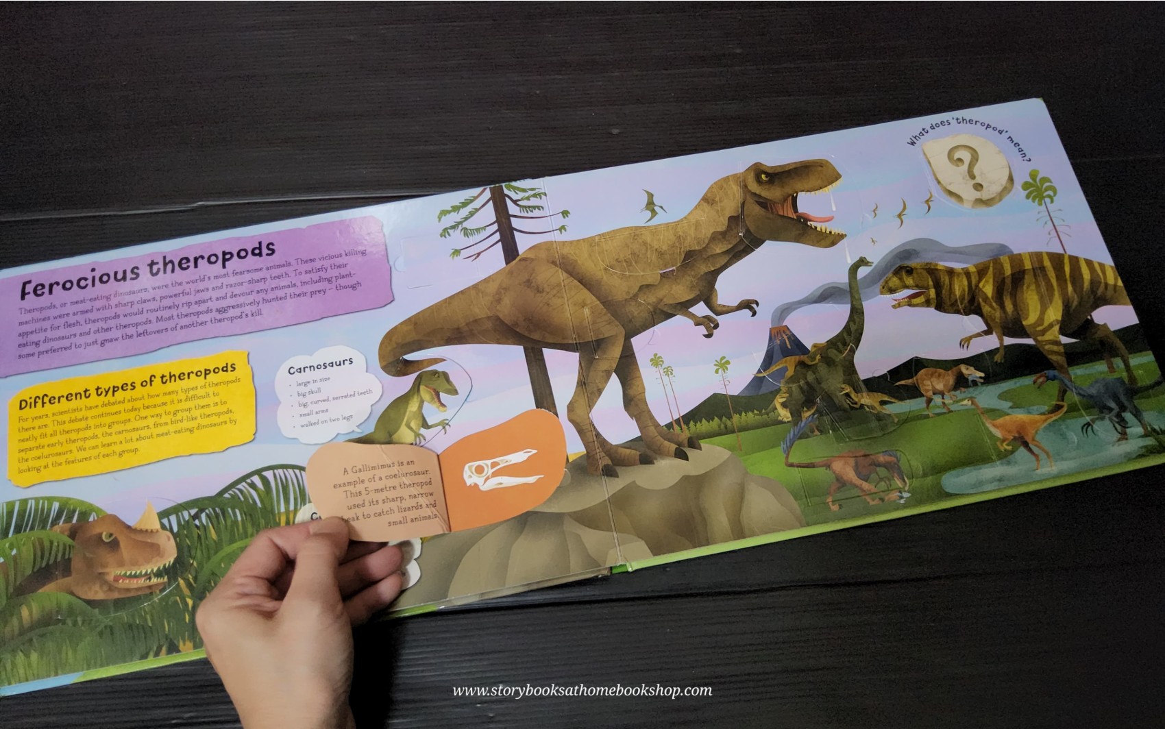 FLAP BOARD BOOK** 🍓🍓DINOSAURS A LIFT-THE-FLAP BOOK