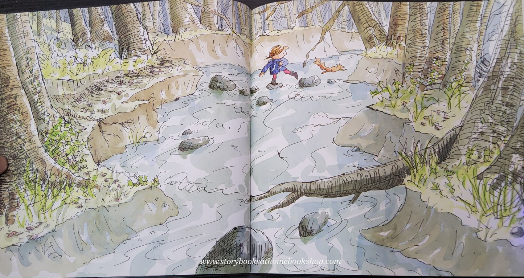 หนังสือนิทานปกอ่อน** 🍅🍅THE WILD WOODS BY SIMON JAMES