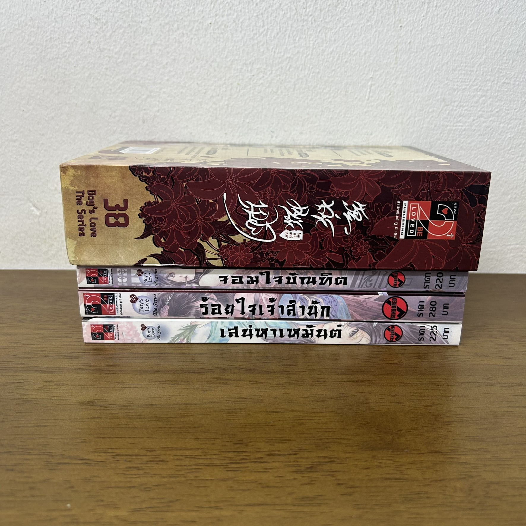 BOXSET Boy's love 38 ร้อยใจจ้าวสำนัก เสน่หาเหมันต์ จอมใจบัณฑิต (มือสอง) นิยายวาย วายแปล