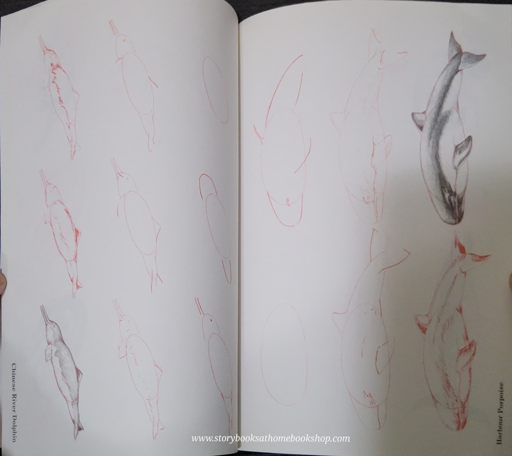 Knowledge Book** ð
ðDRAW 50 ENDANGERED ANIMALS