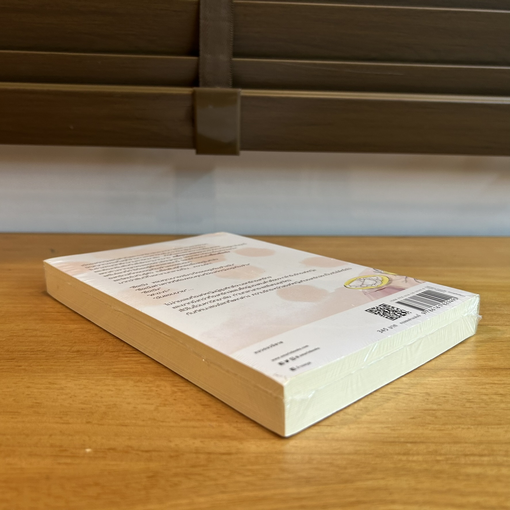 เป็นเช่นข้าสิ...คืองาม ... จิ่วลู่เฟยเซียง Jiu Lu Fei Xiang (มือหนึ่ง) นิยายรัก โรแมนติก แปลจีน