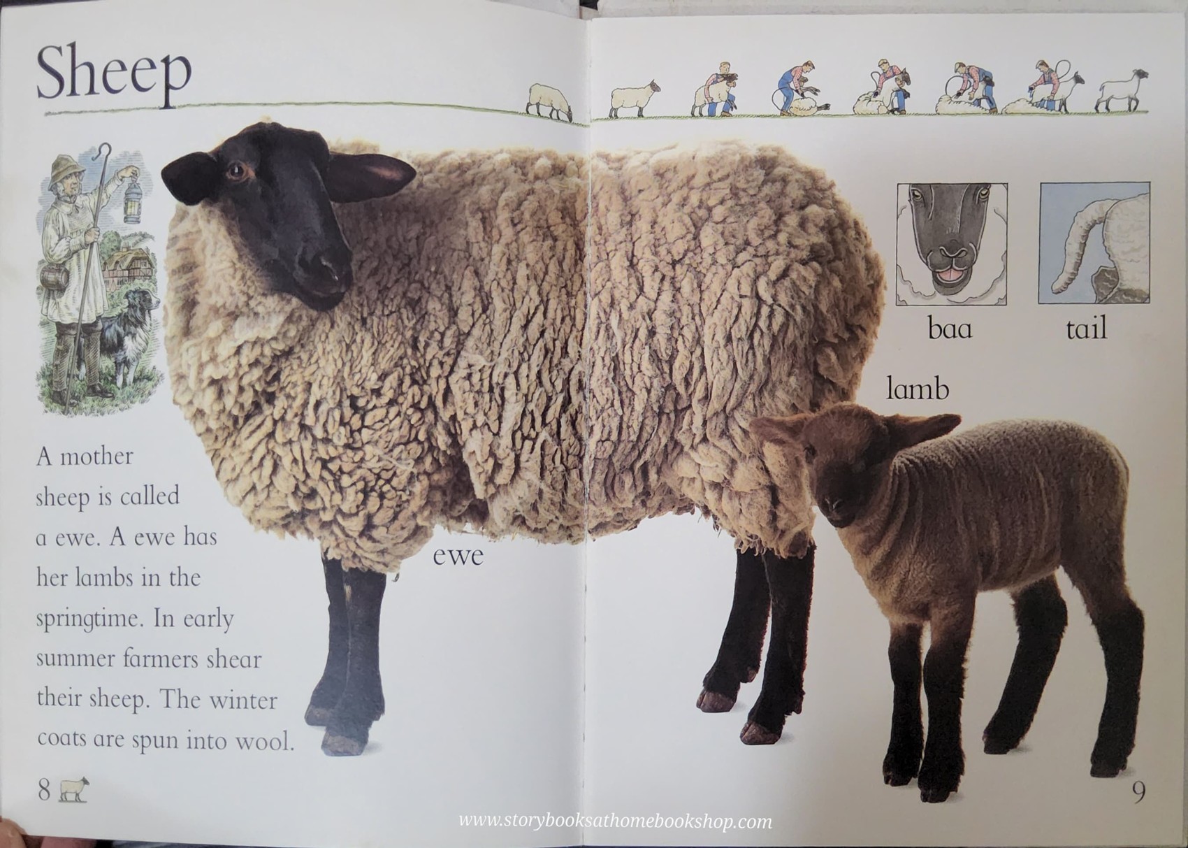 KNOWLEDGE BOOK** ♥️♥️EYE OPERNERS:FARM ANIMALS