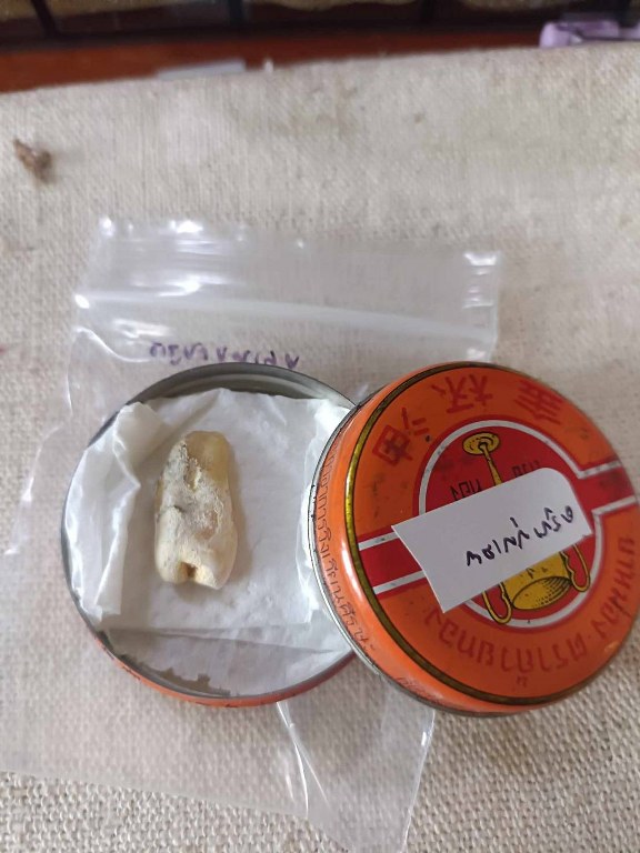 พระทันตธาตุ ครูบาบุุญเลย วัดดอนแก่ง จ.น่าน ได้มาจากคุณวินัย อายุ 84 ปี อดีตนายอำเภอ หลายพื้นที่ คุณวินัย ได้พระทันตธาตุจากคุณสาธิต นำมามอบให้ในปี 2548 คุณสาธิต เป็นลูกศิษย์ครูบาบุญเลย และเคยเป็นลูกน้องคุณวินัย ปัจจุบันอายุกว่า 60 ปีแล้ว