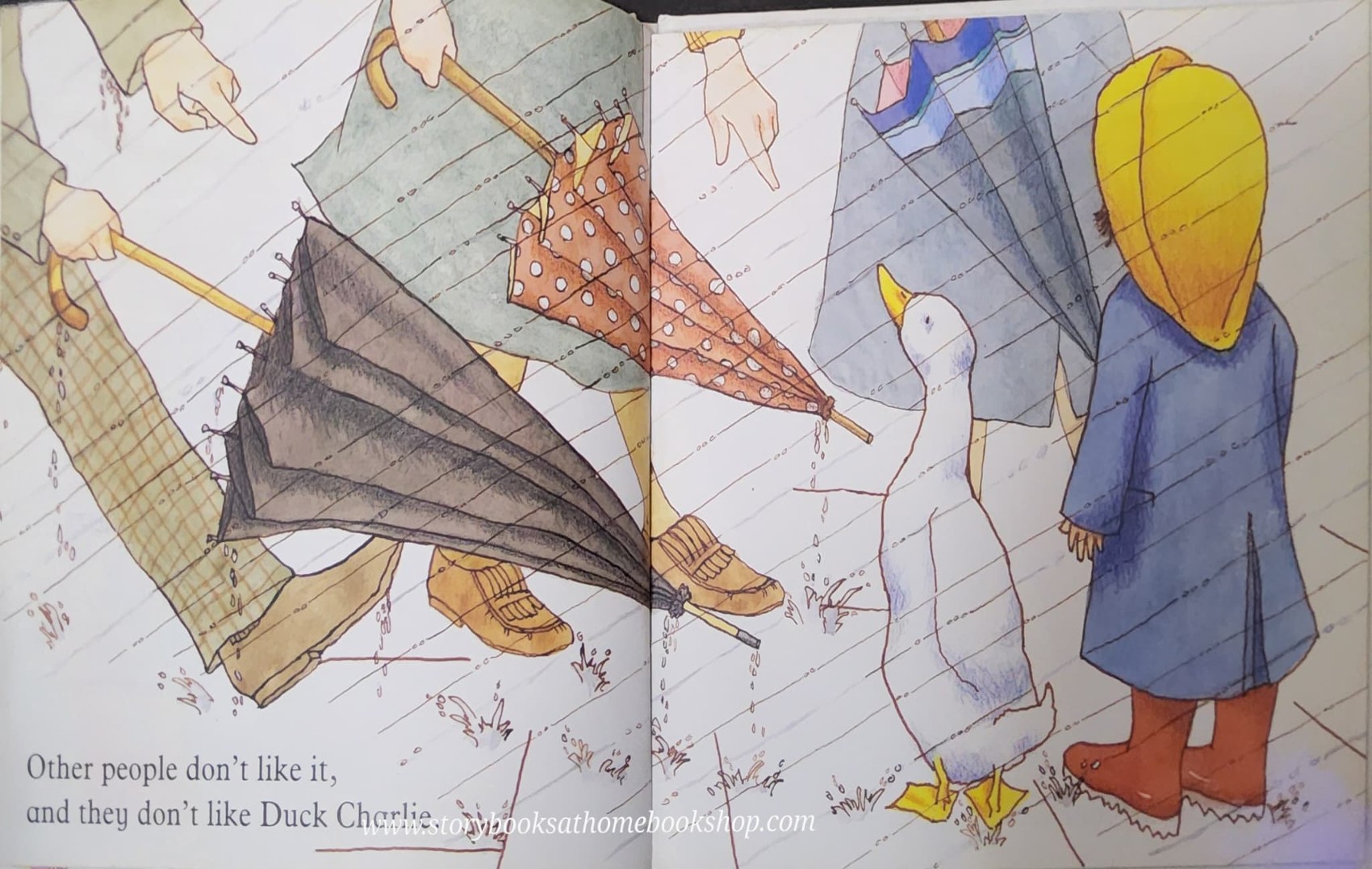 หนังสือนิทานปกแข็ง** 🍅🍅DUCK CHARLIE BY JANE JOHNSON