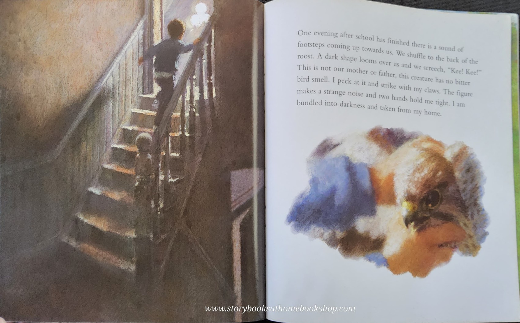 หนังสือนิทานปกอ่อน** 🍅WINDHOVER BY ALAN BROWN&CHRISTIAN BIRMINGHAM