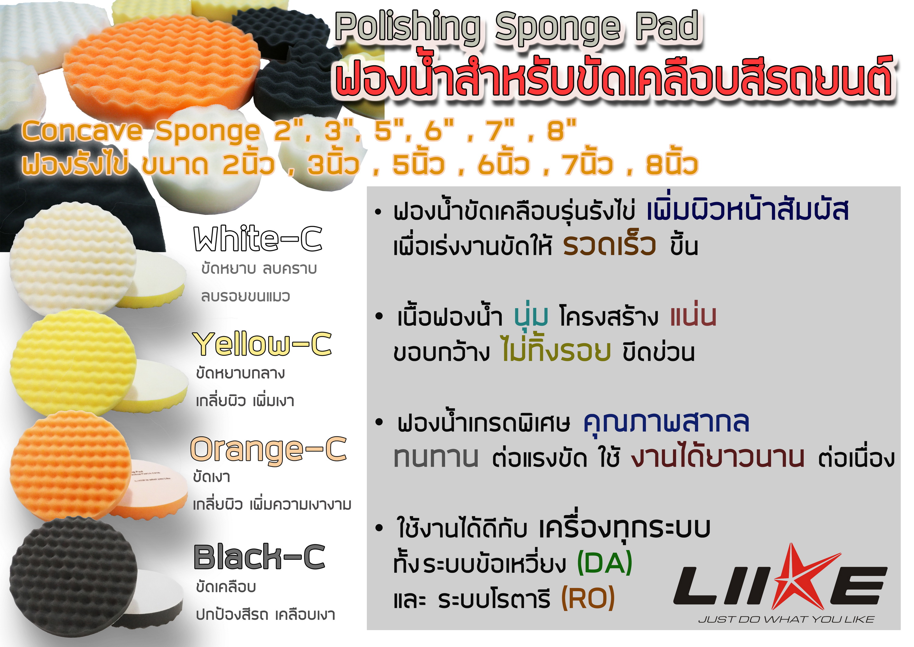 ฟองน้ำรังไข่