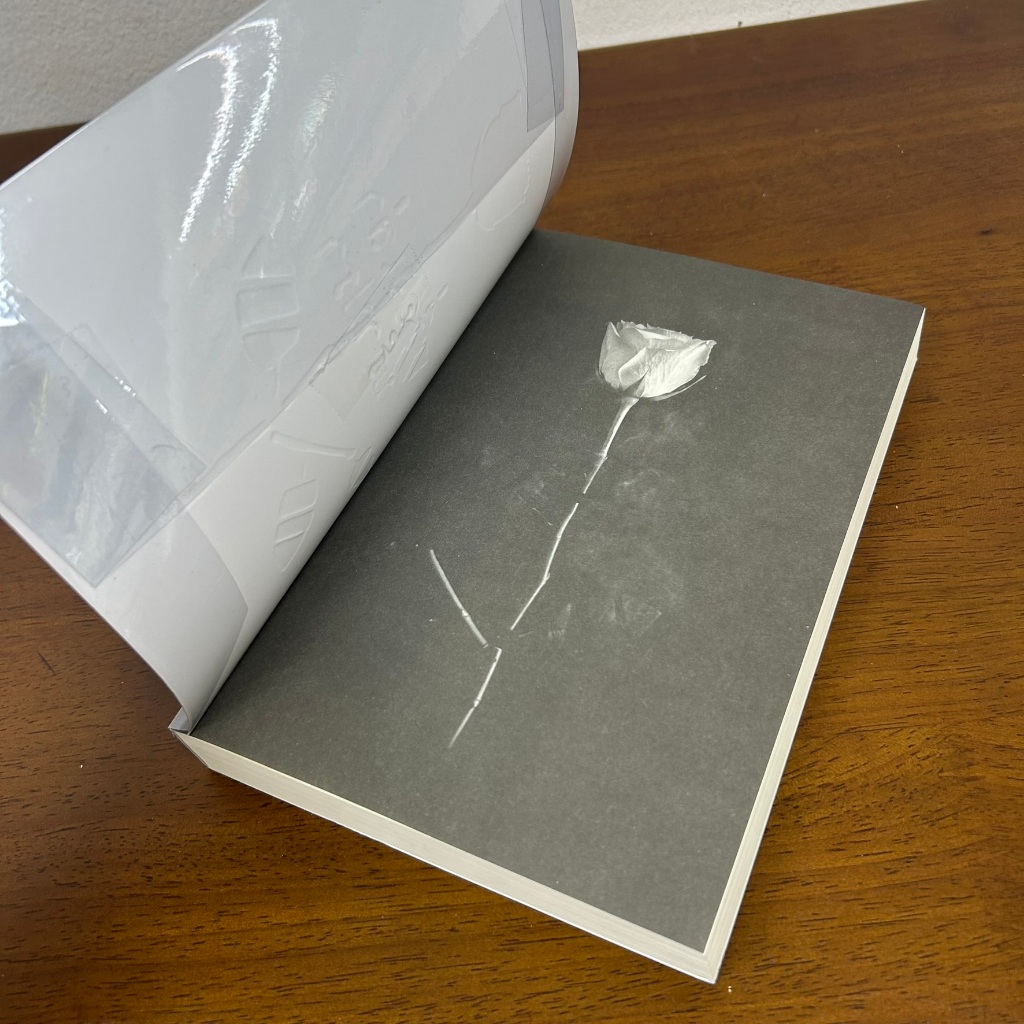 เรื่องเล่าปรำปรา ... ณัฐณรา (มือสอง) นิยาย โรมานซ์