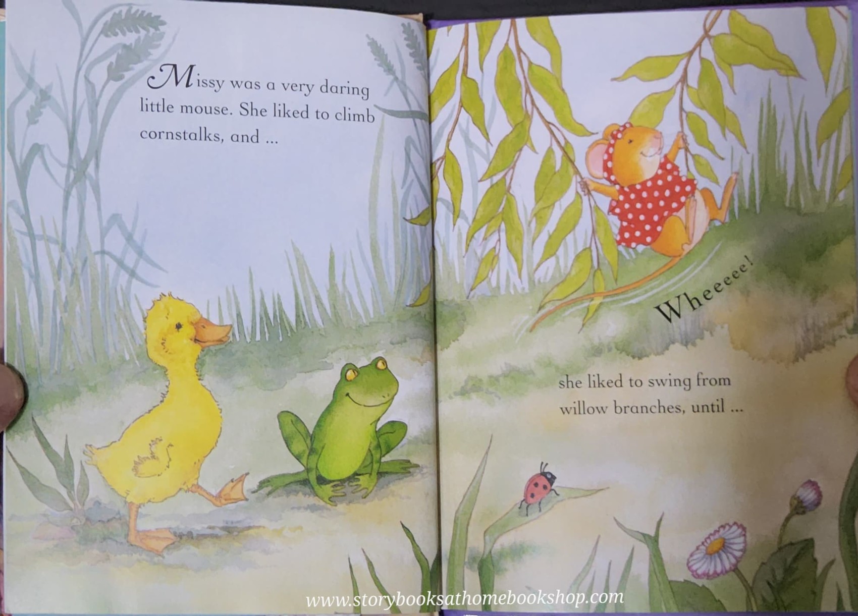 หนังสือนิทานปกแข็ง** 🍅🍅GIVE ME A HUG!