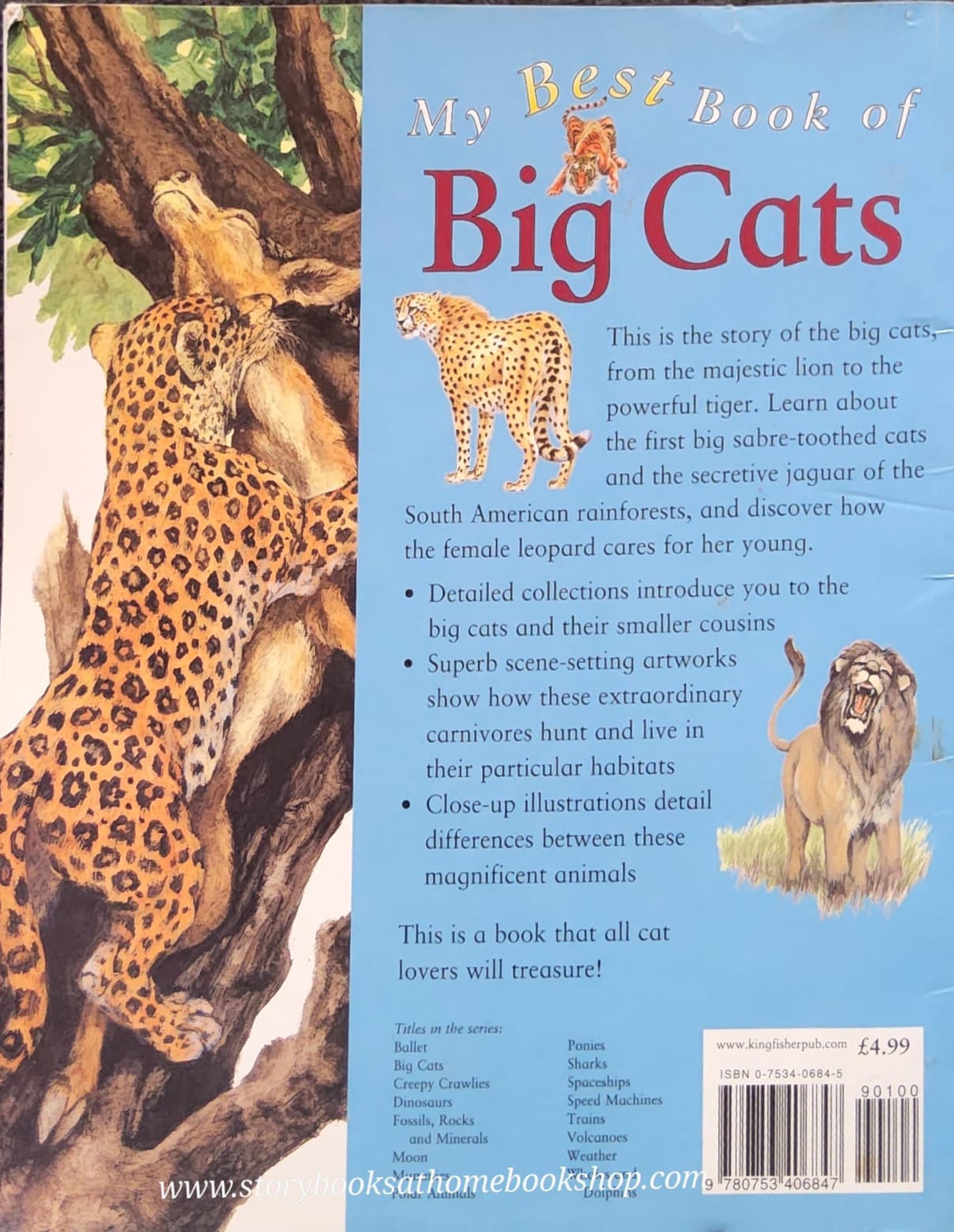 Knowledge Book ** 🍓🍓MY BEST BOOK OF BIG CATS