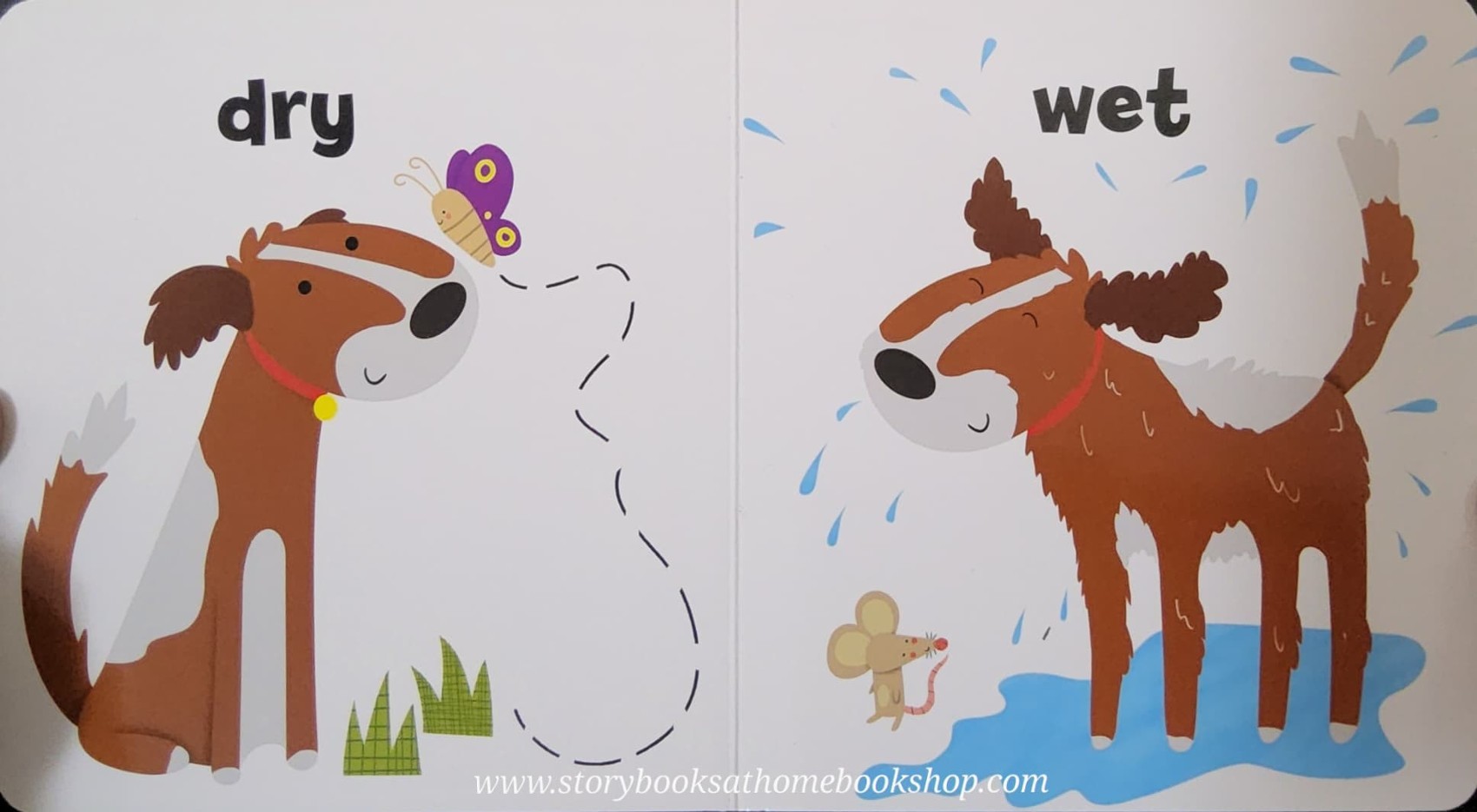 BOARD BOOK** 🍅🍓I LOVE OPPOSITES