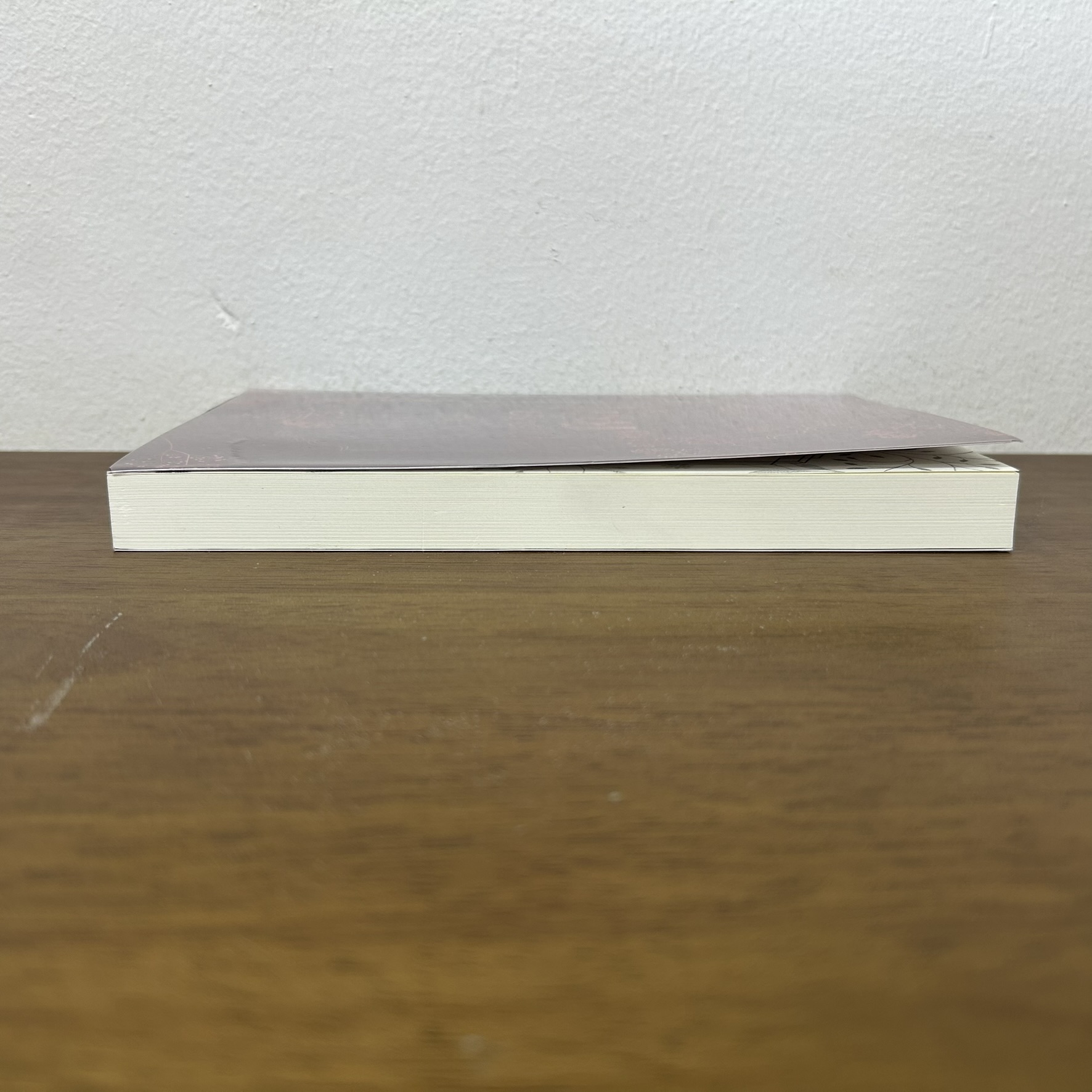 [YAOI] โหยปรารถนา ... J.P. JAY (มือสอง) นิยายวาย