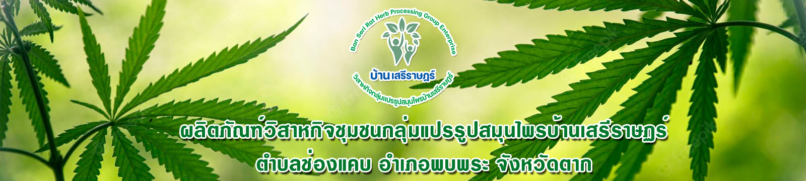 วิสาหกิจชุมชนกลุ่มแปรรูปสมุนไพรบ้านเสรีราษฏร์
