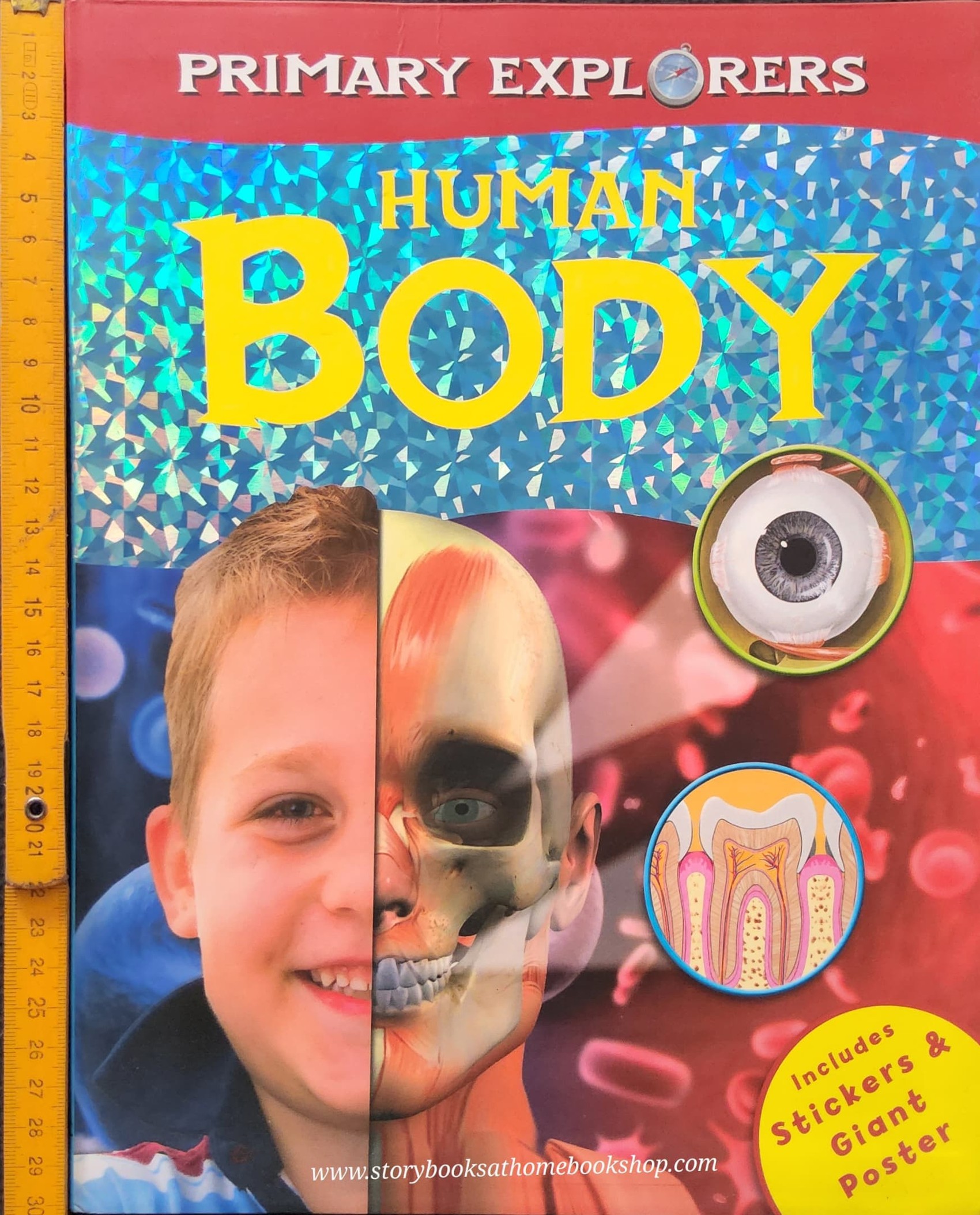 KNOWLEDGE BOOK ** 🍅🍓PRIMARY EXPLORERS: HUMAN BODY (STICKERS&GIANT POSTER)