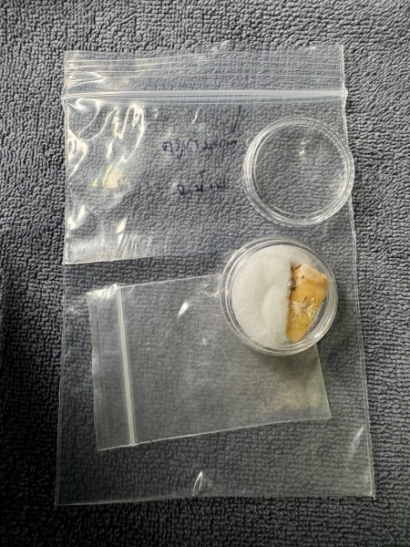 พระทันตธาตุ ครูบามนต์ วัดพระธาตุช้างค้ำ อ.เมือง จ.น่าน มาจากคุณปู่เสน่ห์ อายุ 83 ปี อดีตรับราชการครู เป็นครู และเป็น ผ.อ. ในโรงเรียนหลายจังหวัดในภาคเหนือ ปลดเกษียณมาแล้ว 23 ปี (บันทึก 2567) ปัจจุบันนี้เป็นนักสะสมของเก่า และทำ resort ในจังหวัดแพร่