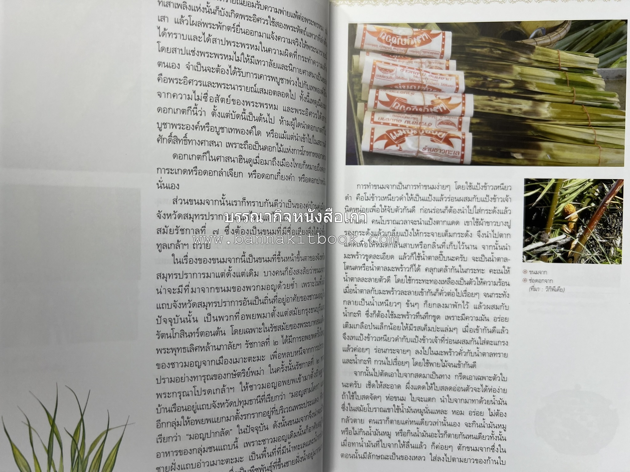 ตามรอยเสด็จพระผ่านฟ้า เปิดพระราชมรรคาสู่เอเชีย โดย : นายทองพับ (เผ่าทอง ทองเจือ).